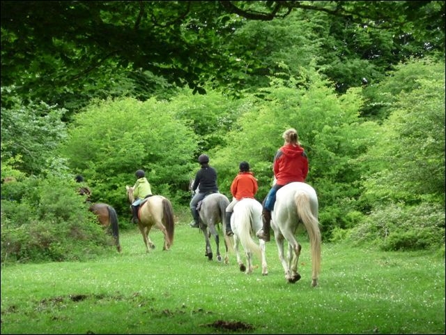 Excursions for everyone 